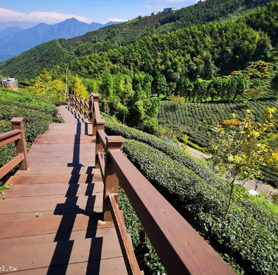 某座橋